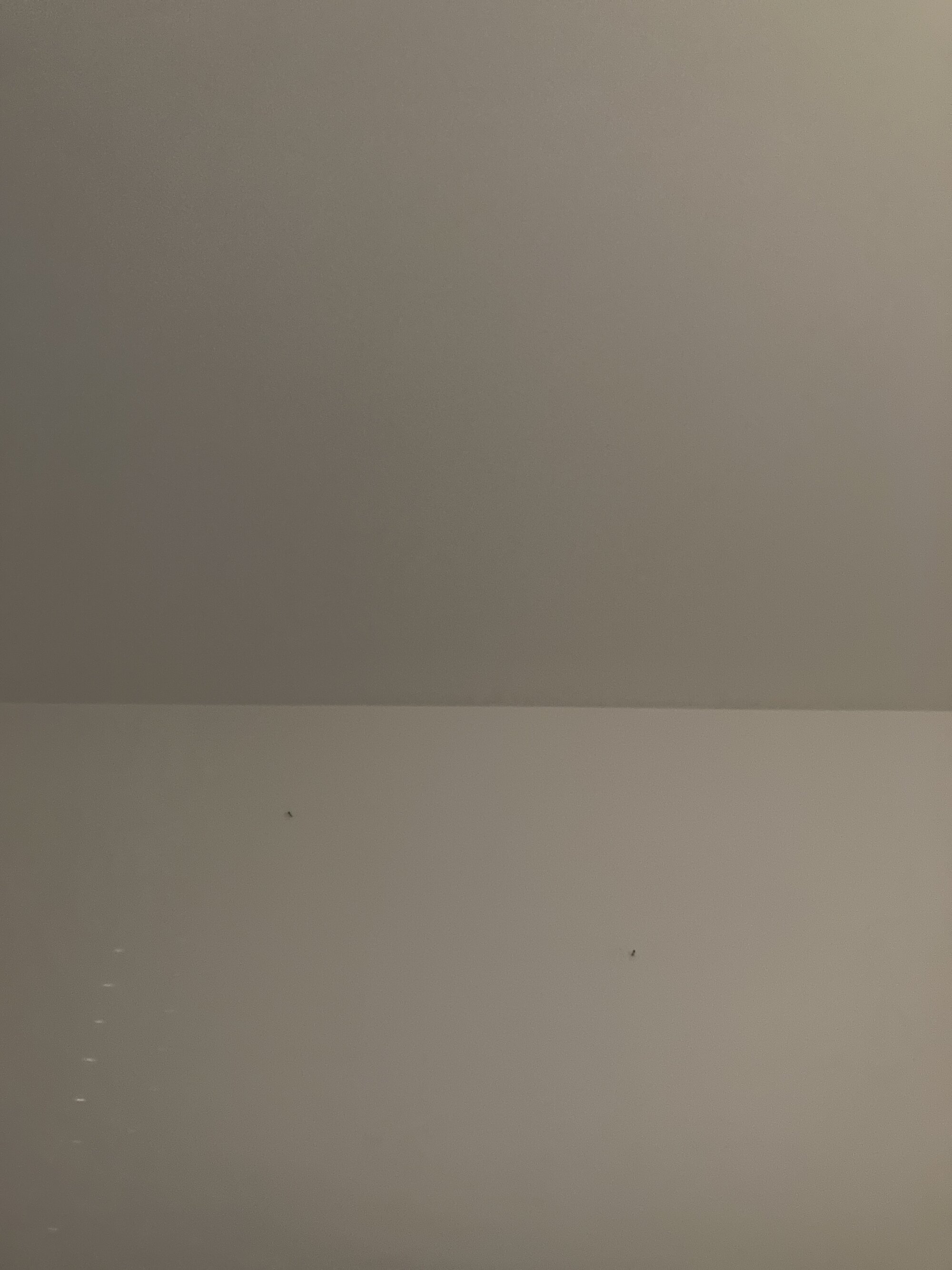 CoupleHot_X live webcam