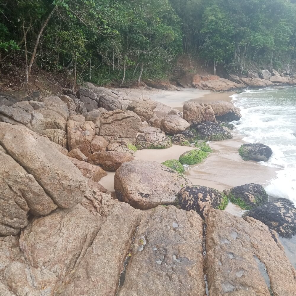 Chat XXX offline de Fpjunior