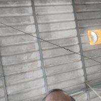 tz143143's webcam live show