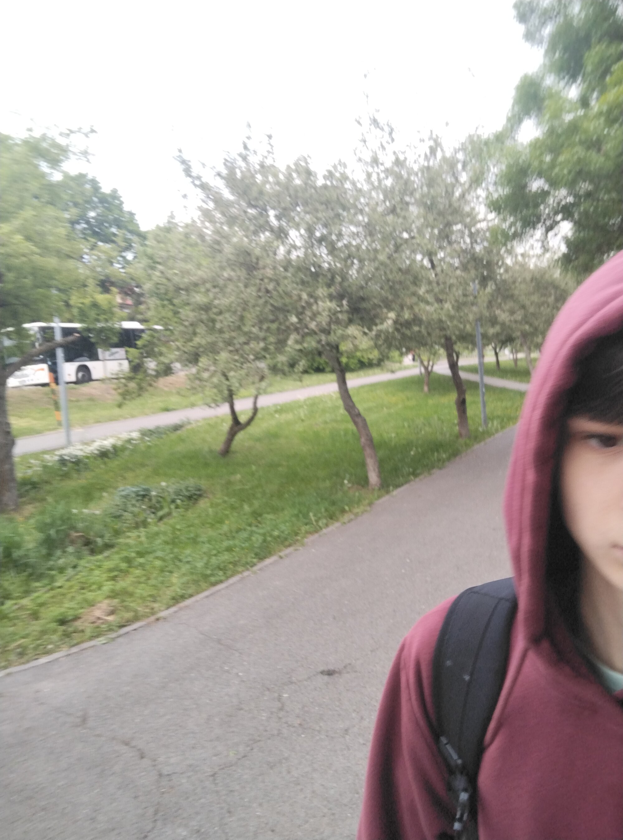 Nelas_trans_dick
