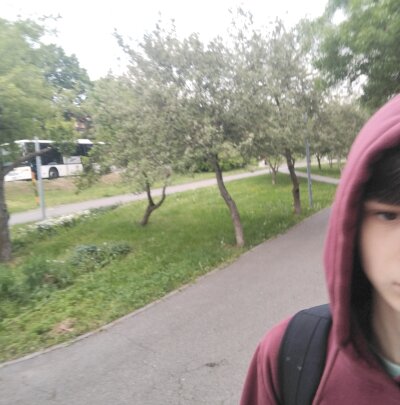 Nelas_trans_dick