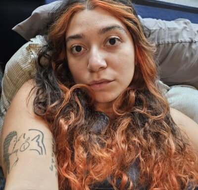 Dahliainthewindow