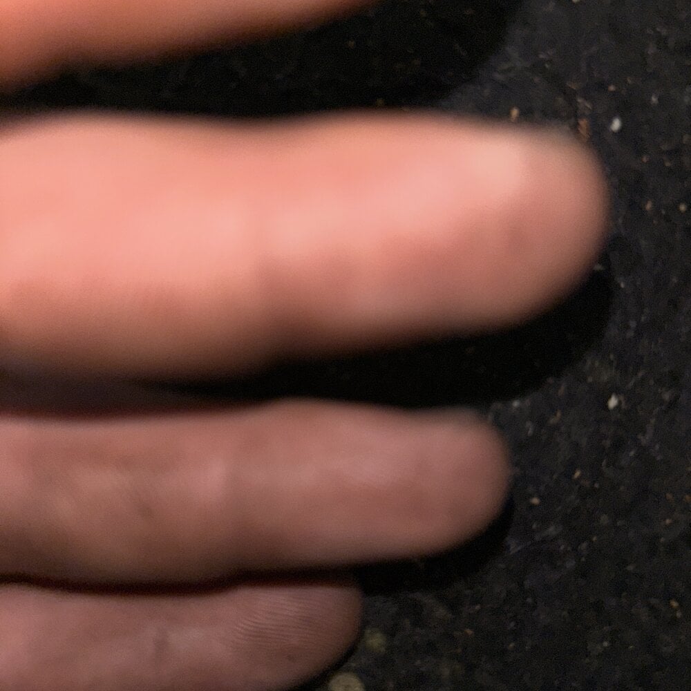samc345 离线XXX聊天