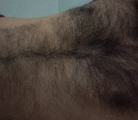 Модель hairy_gun