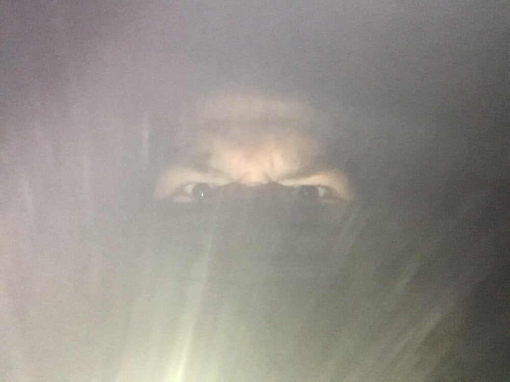 jussupabored from stripchat