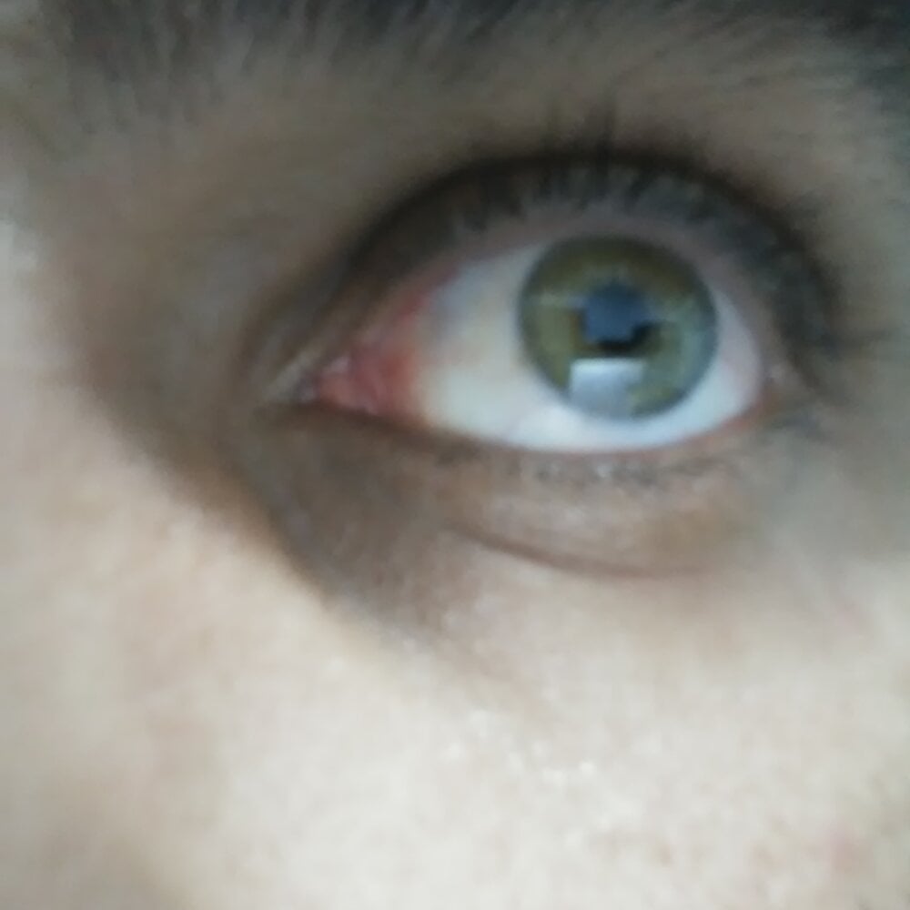 Rot19's Offline XXX Chat