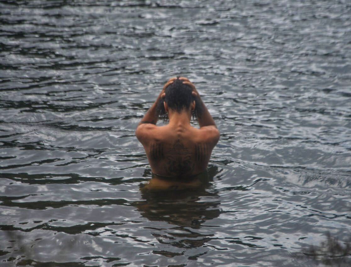 Naturalista-