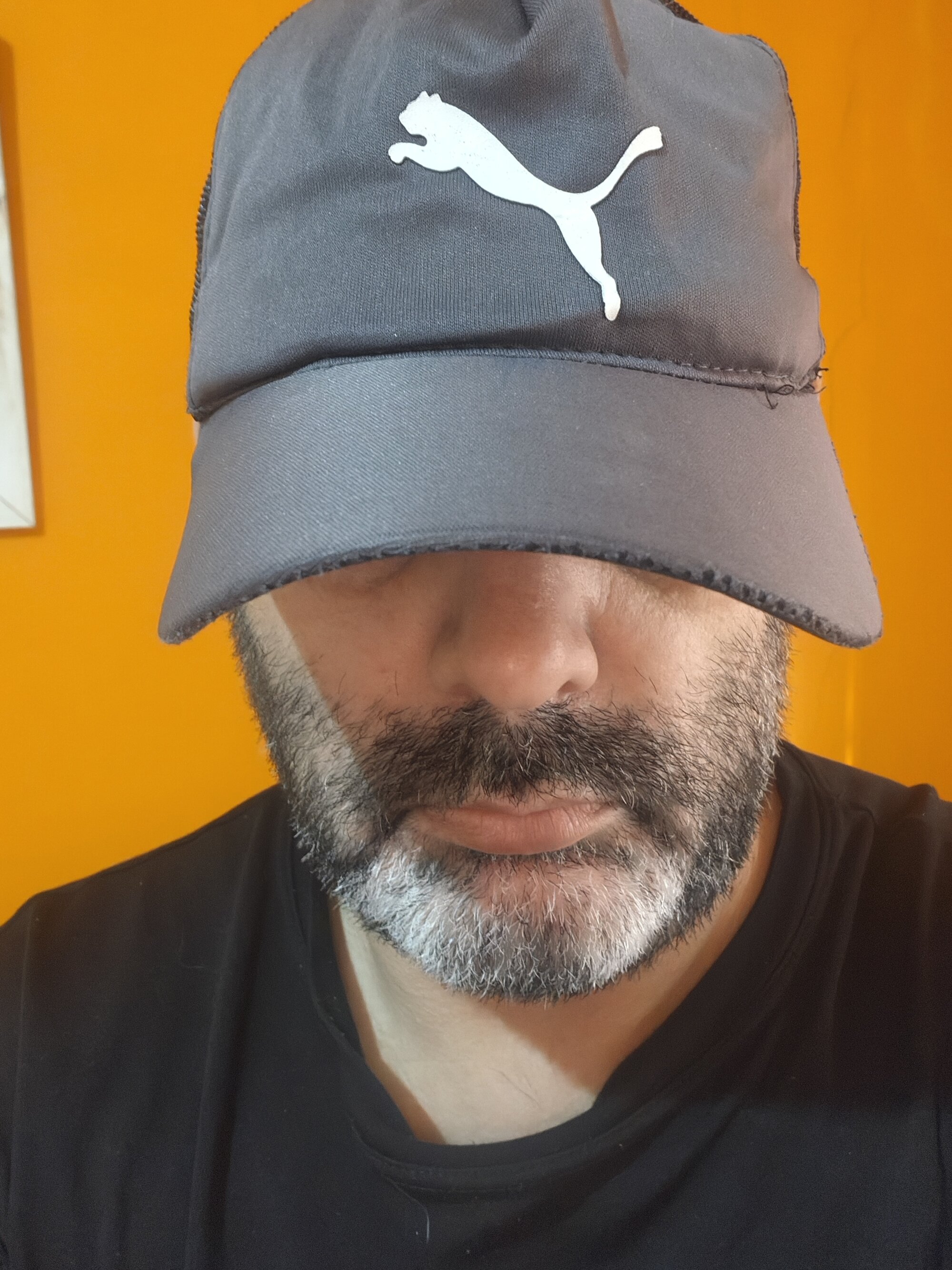 elenzo33