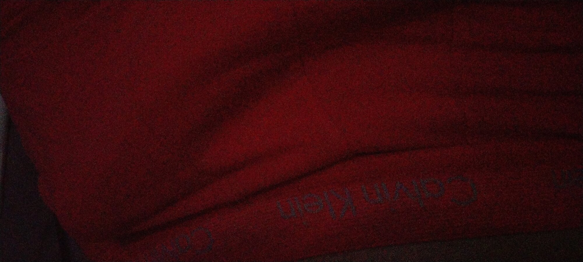 yayaya55598