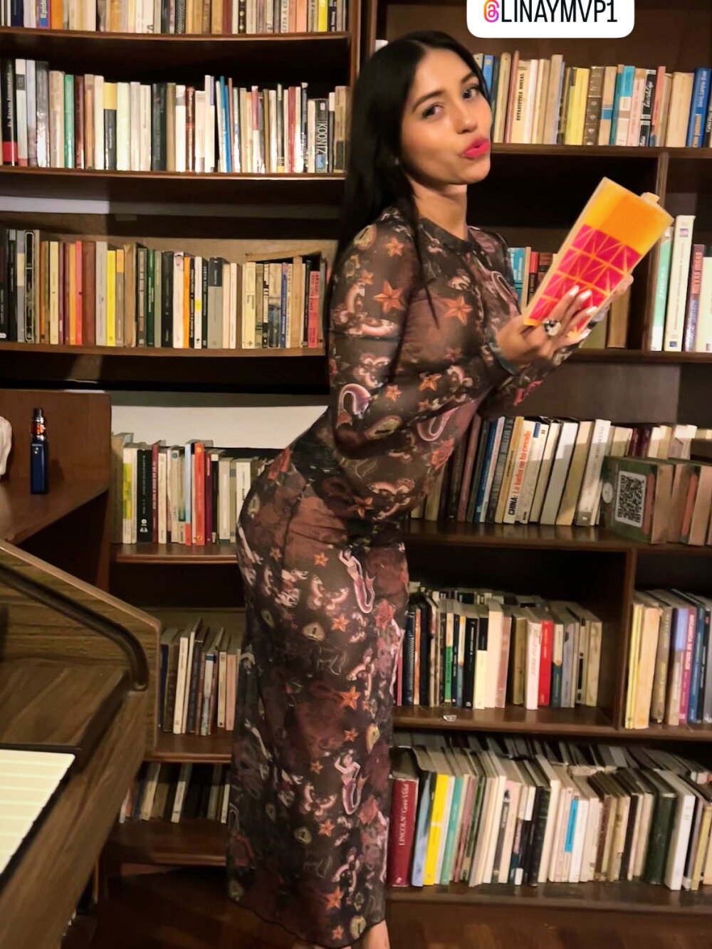 LinayModelMVP1 profile