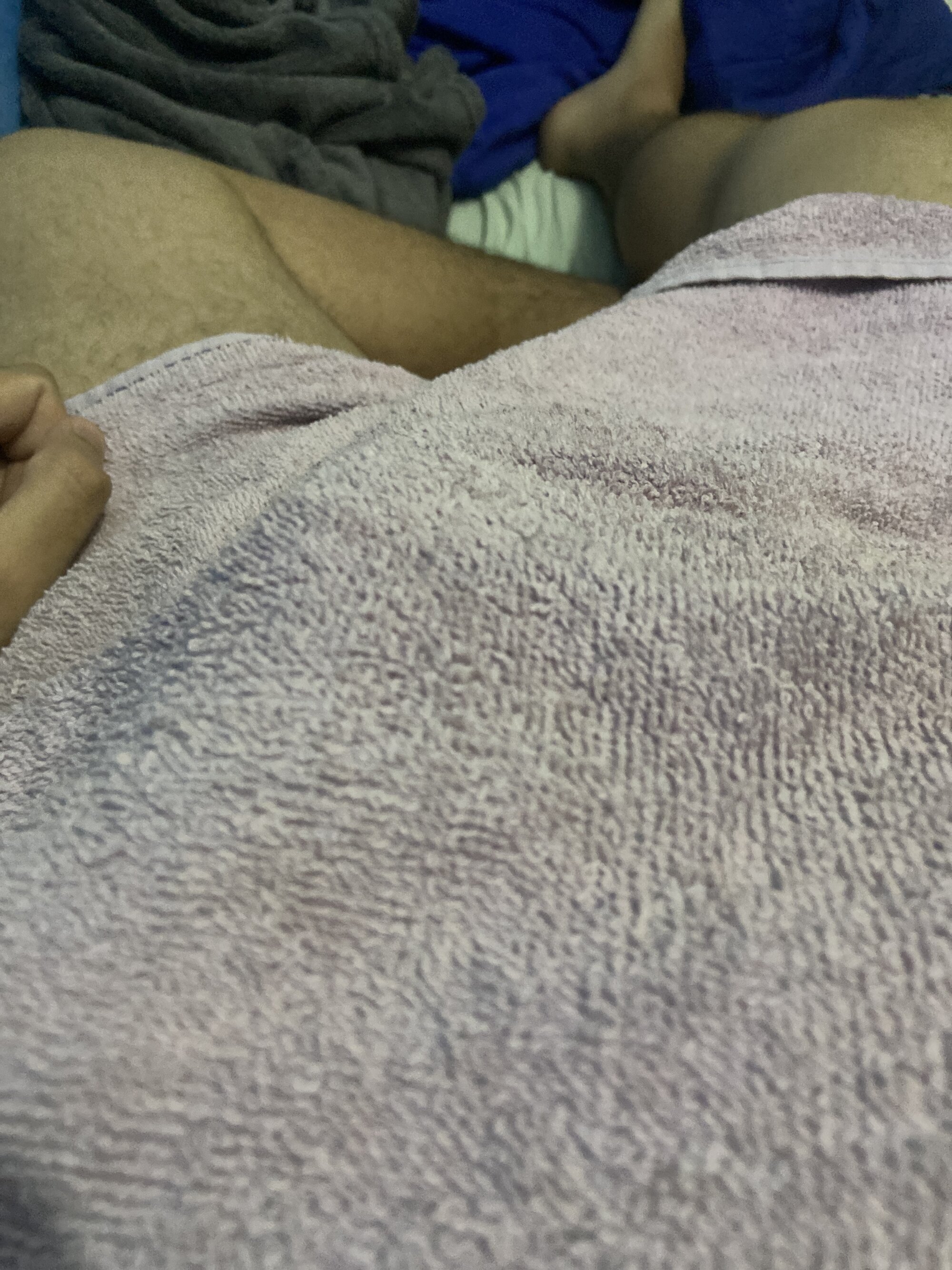 Pitter_br007