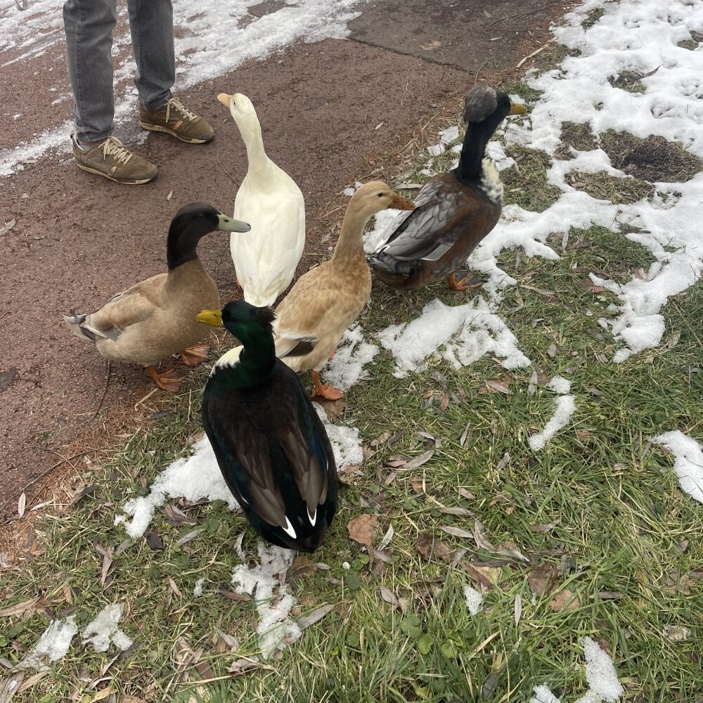 yrrkshw's Offline XXX Chat