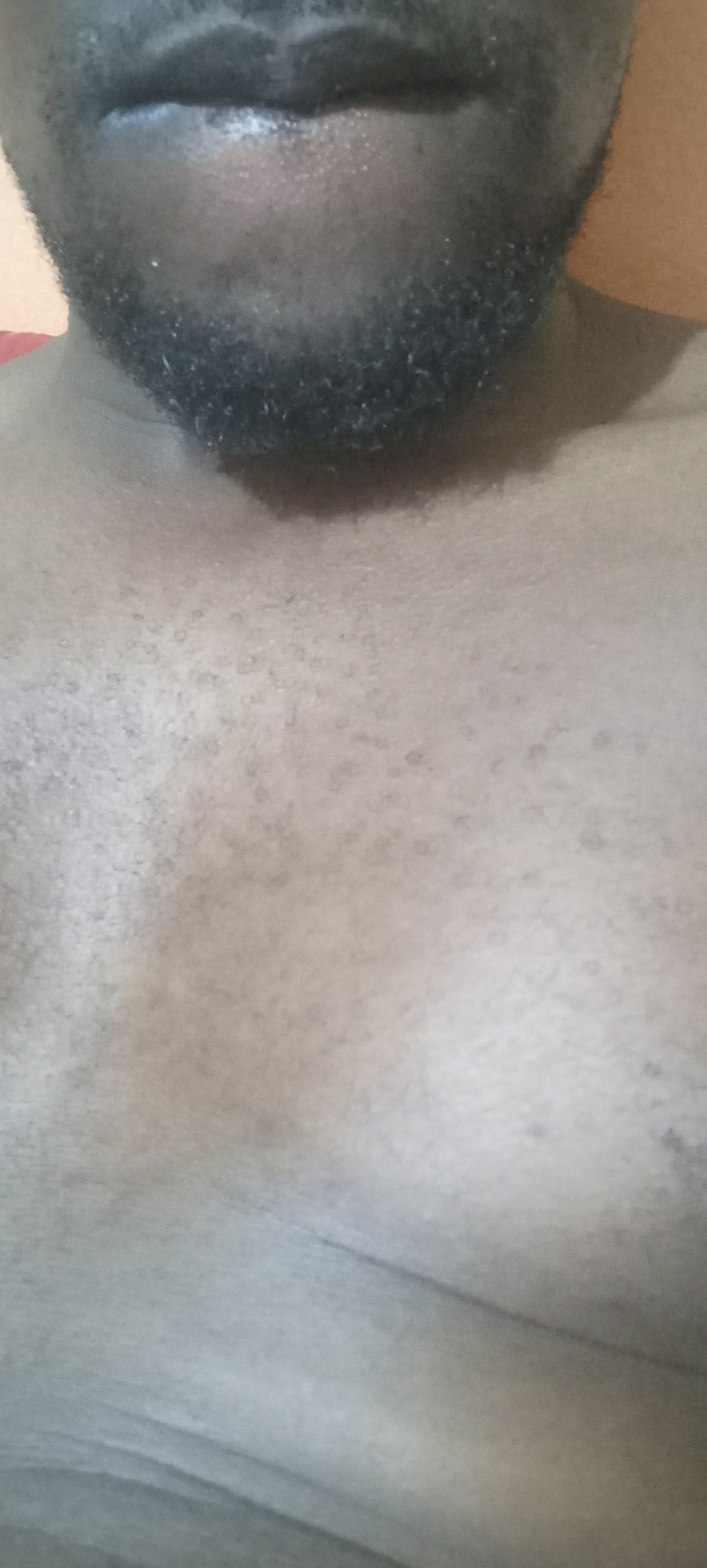 Elianhorny8