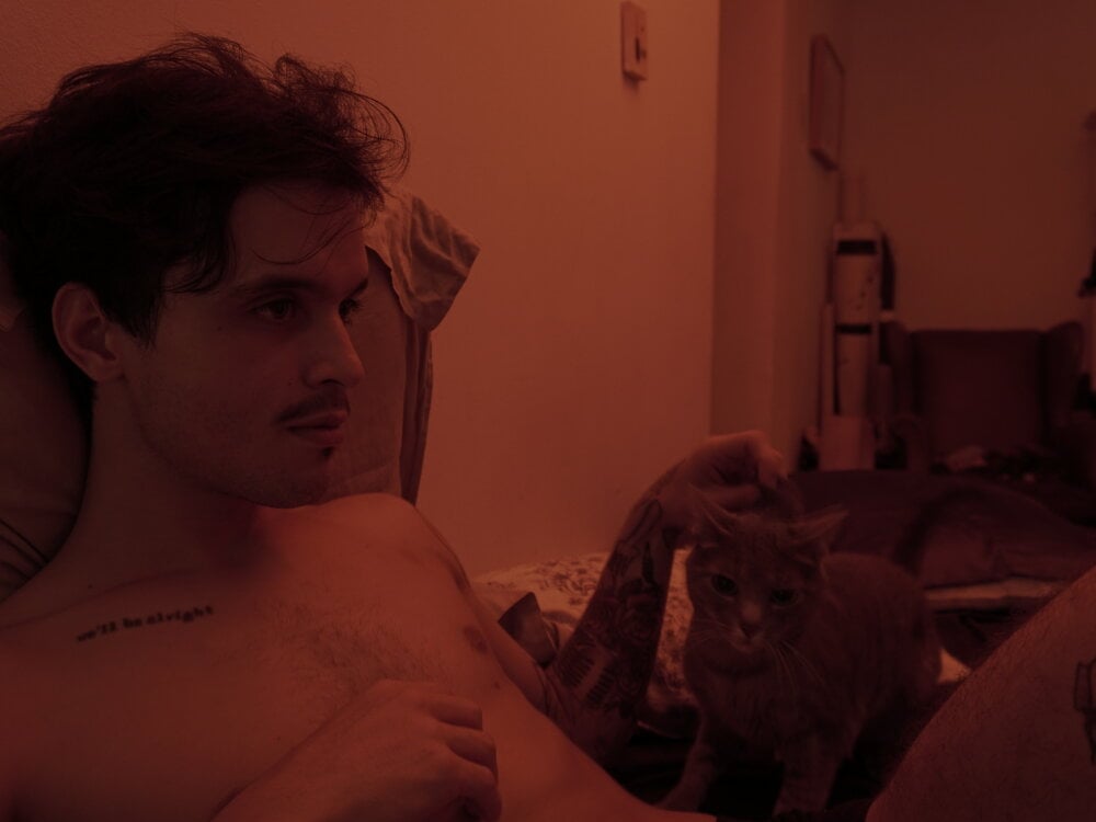 favdealer Chat XXX offline