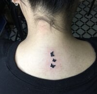 Aditi___O