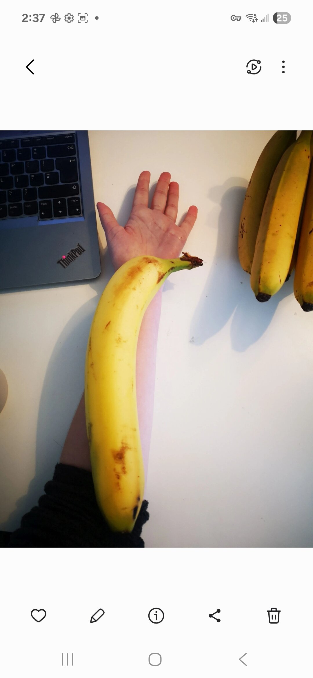 bigbananaqp