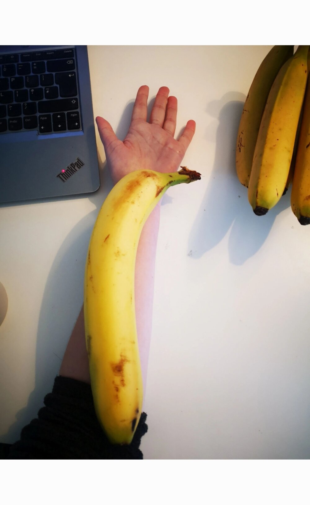 bigbananaqp from stripchat