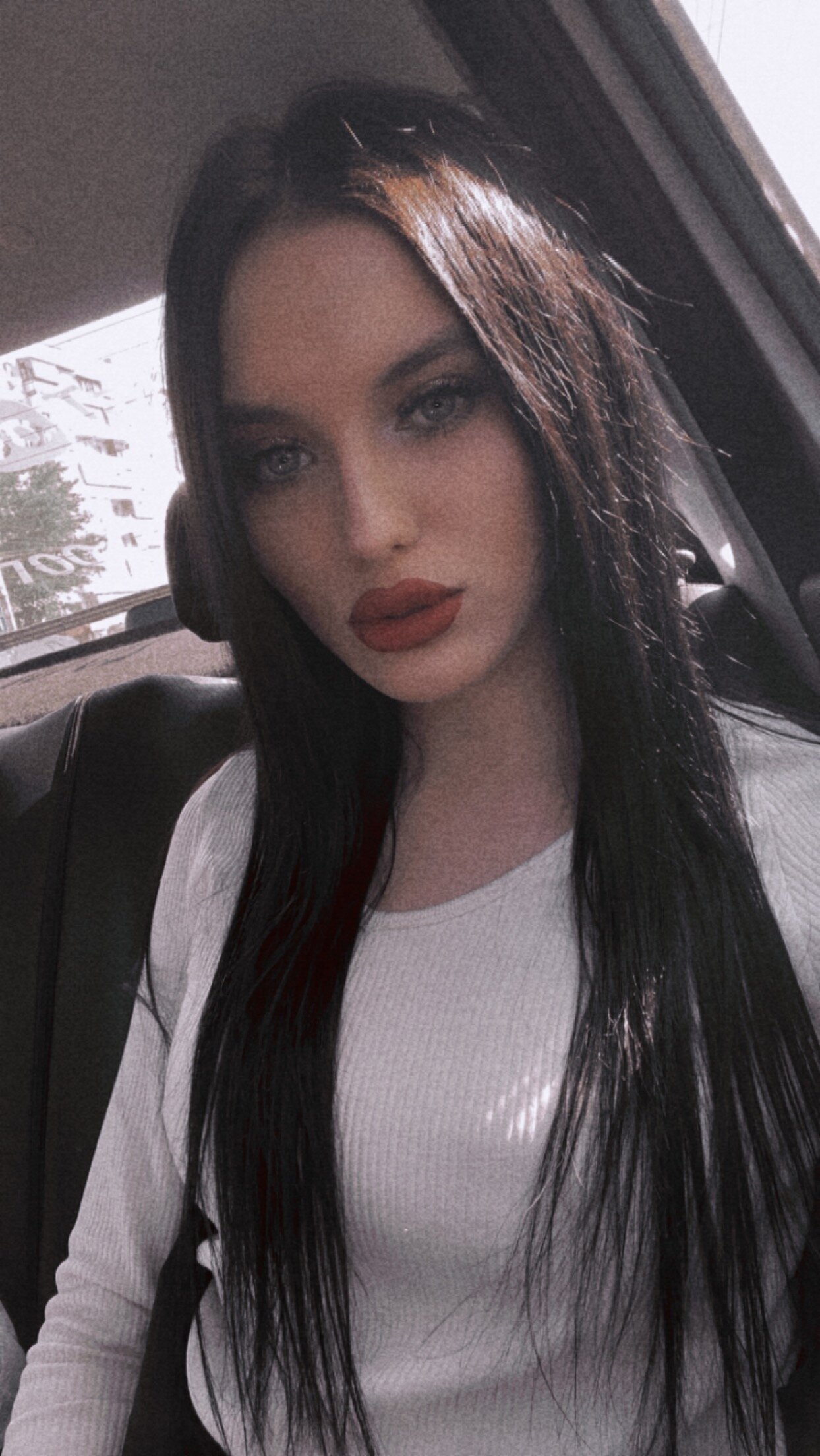BellaTrixyf