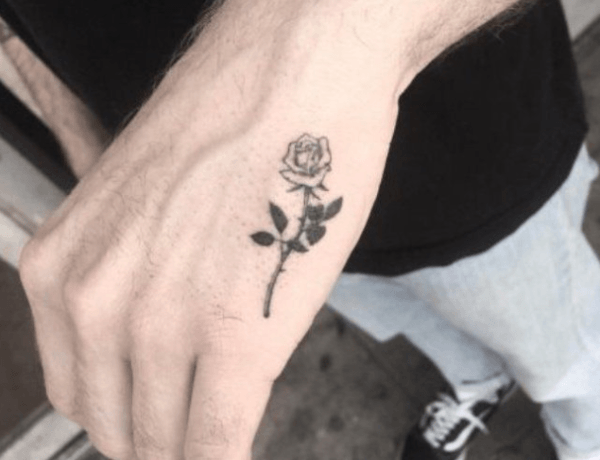 Offline XXX chat 89mo