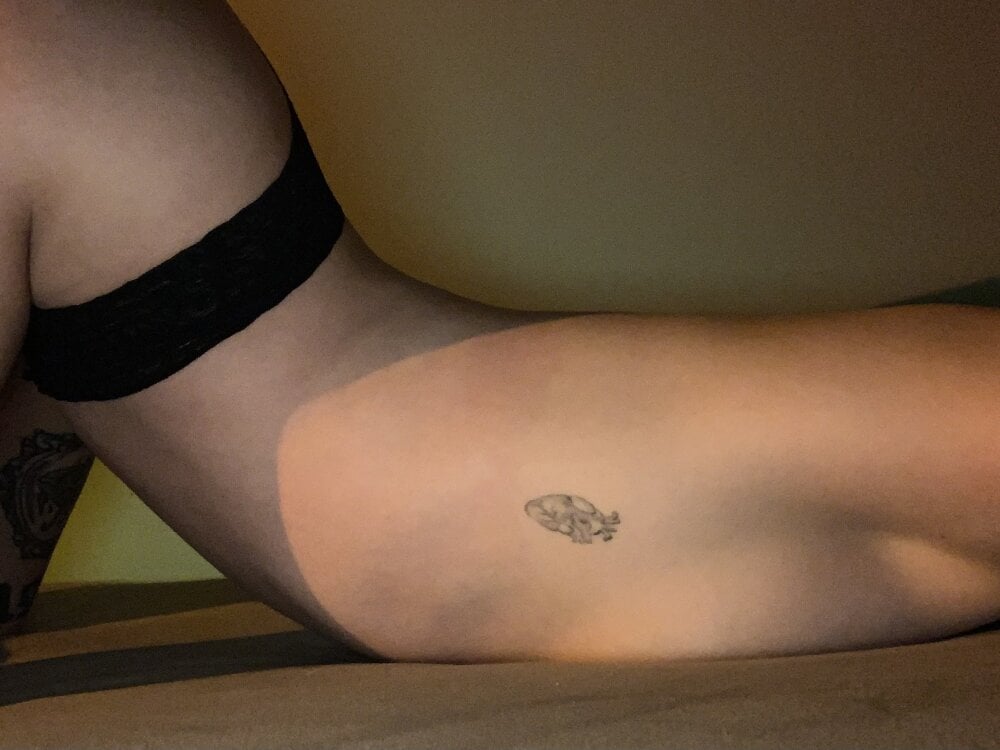 bestlivesexchat.com kittyk_at livesex profile in where-the-carpet-remembers-not-only-my-knees cams
