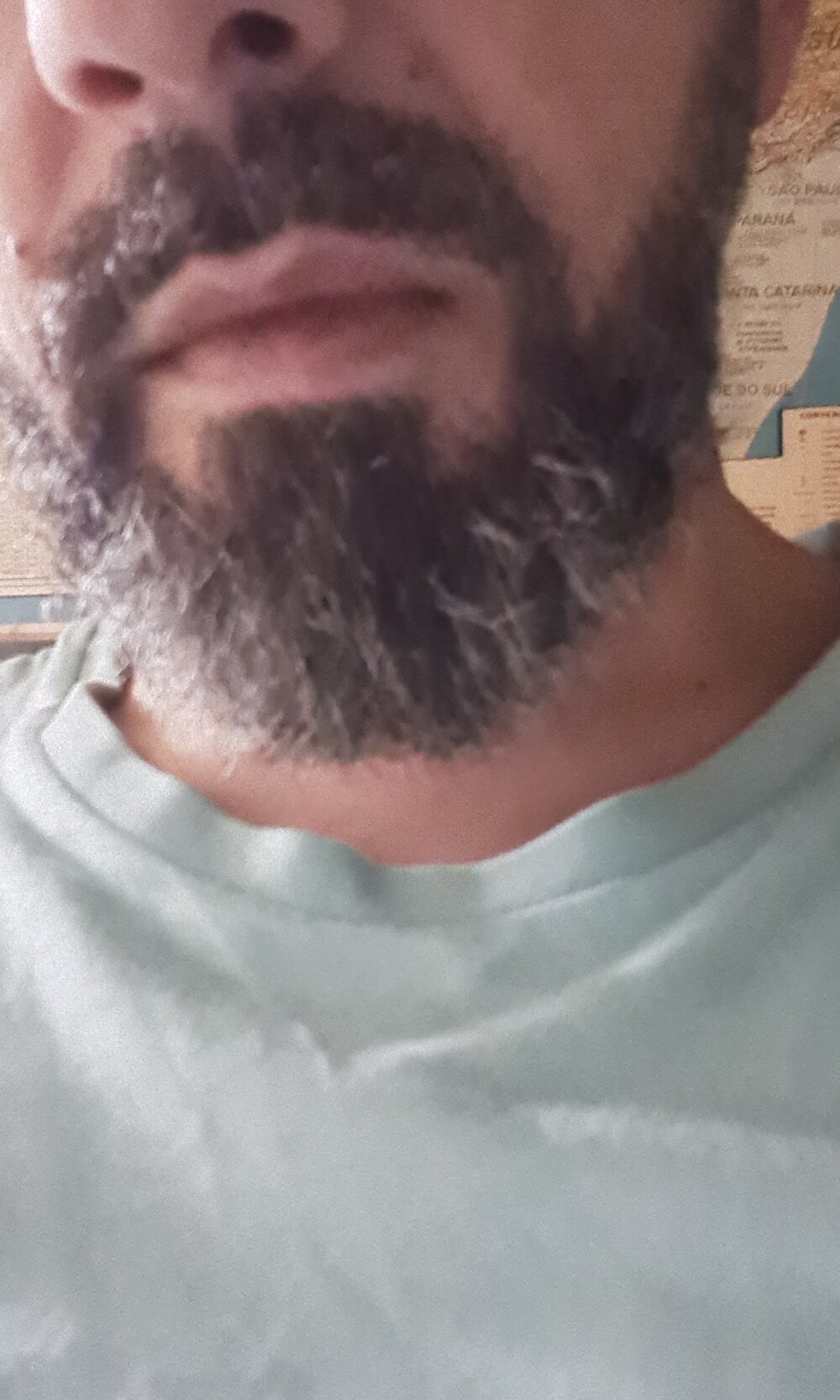 MrSouza33's most recent online preview