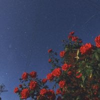 Aestheticsgirl