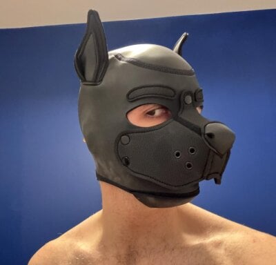 FrenchCamDog Male Bottom Porn Cam