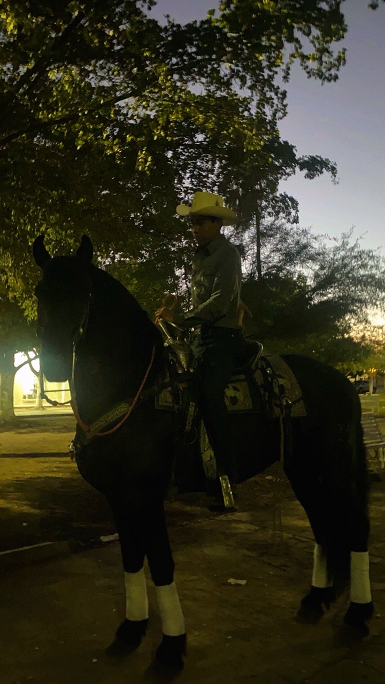 Alejandrodiablo23