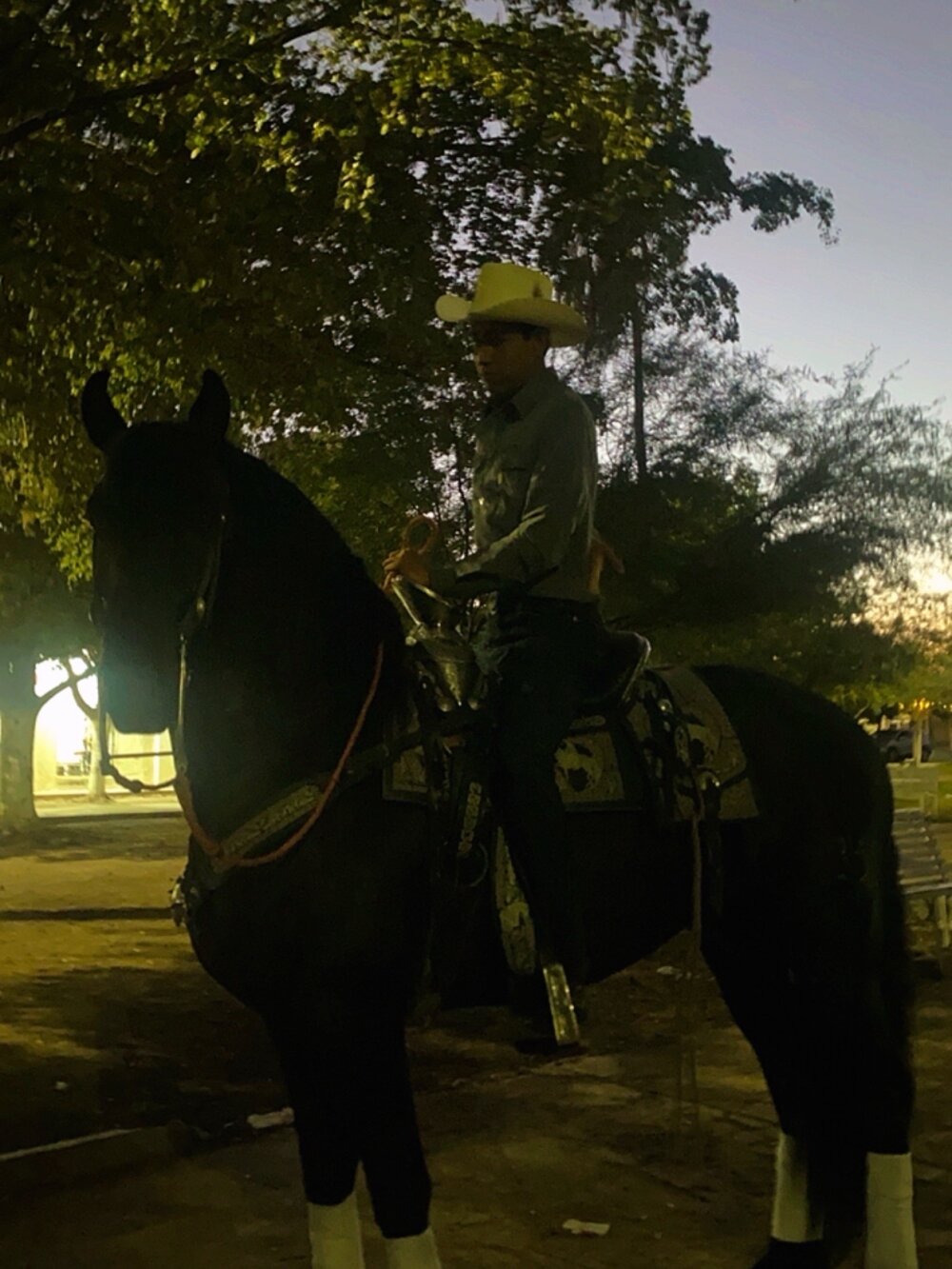 Alejandrodiablo23