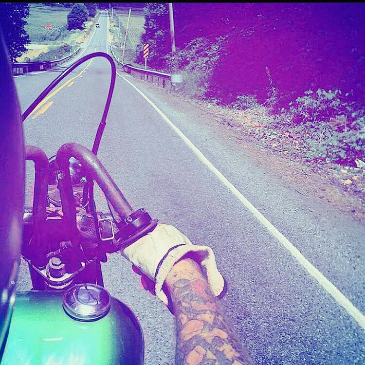 fitchief65 from stripchat