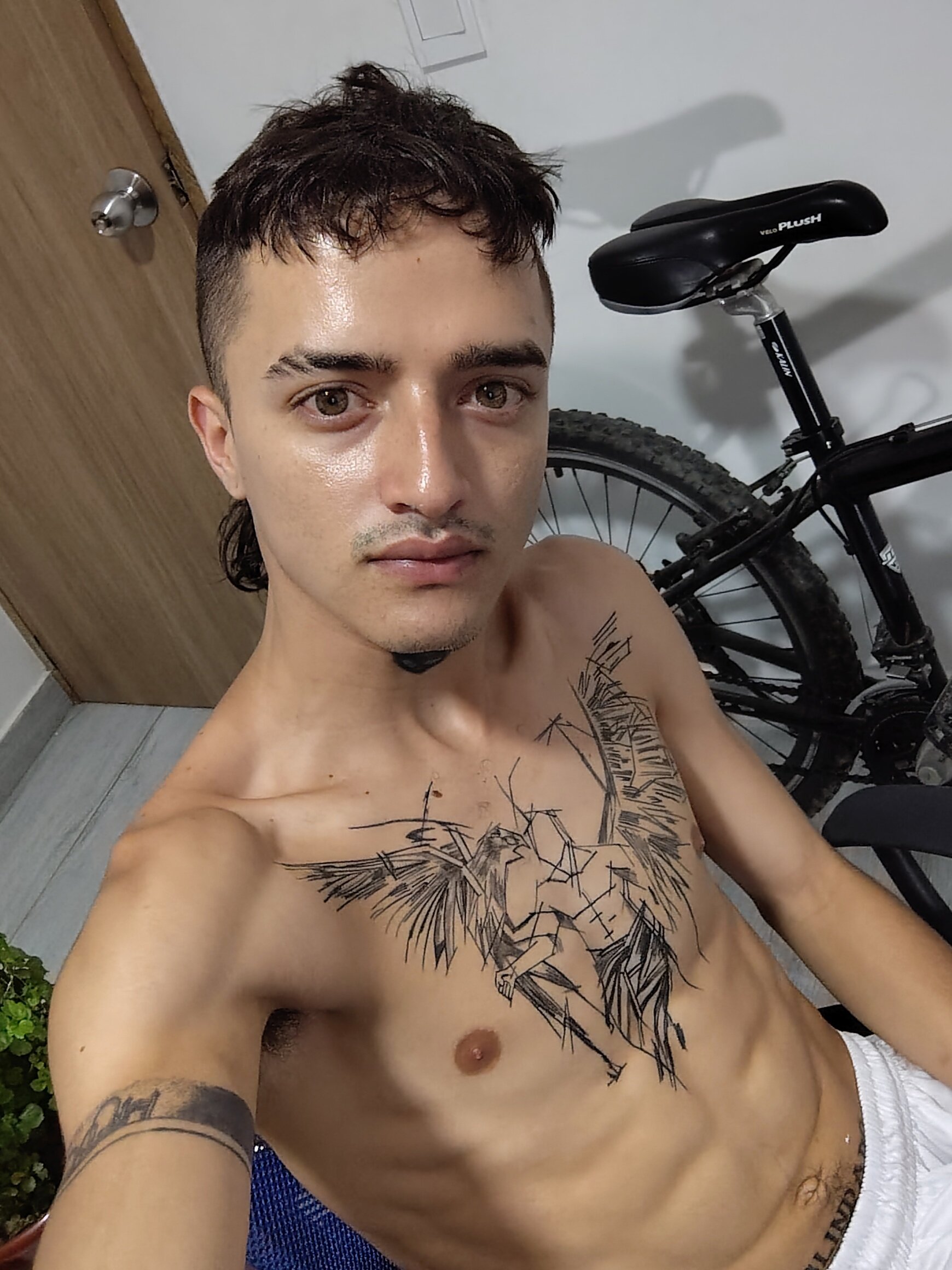 Fenixboy12