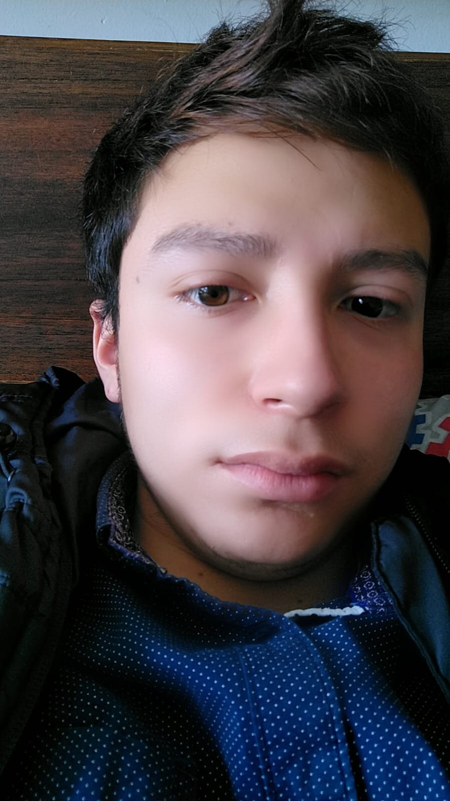 bihornygamer
