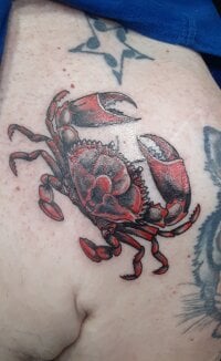 mms1316's webcam live show