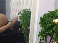 Offline chatovací místnost SirenGix