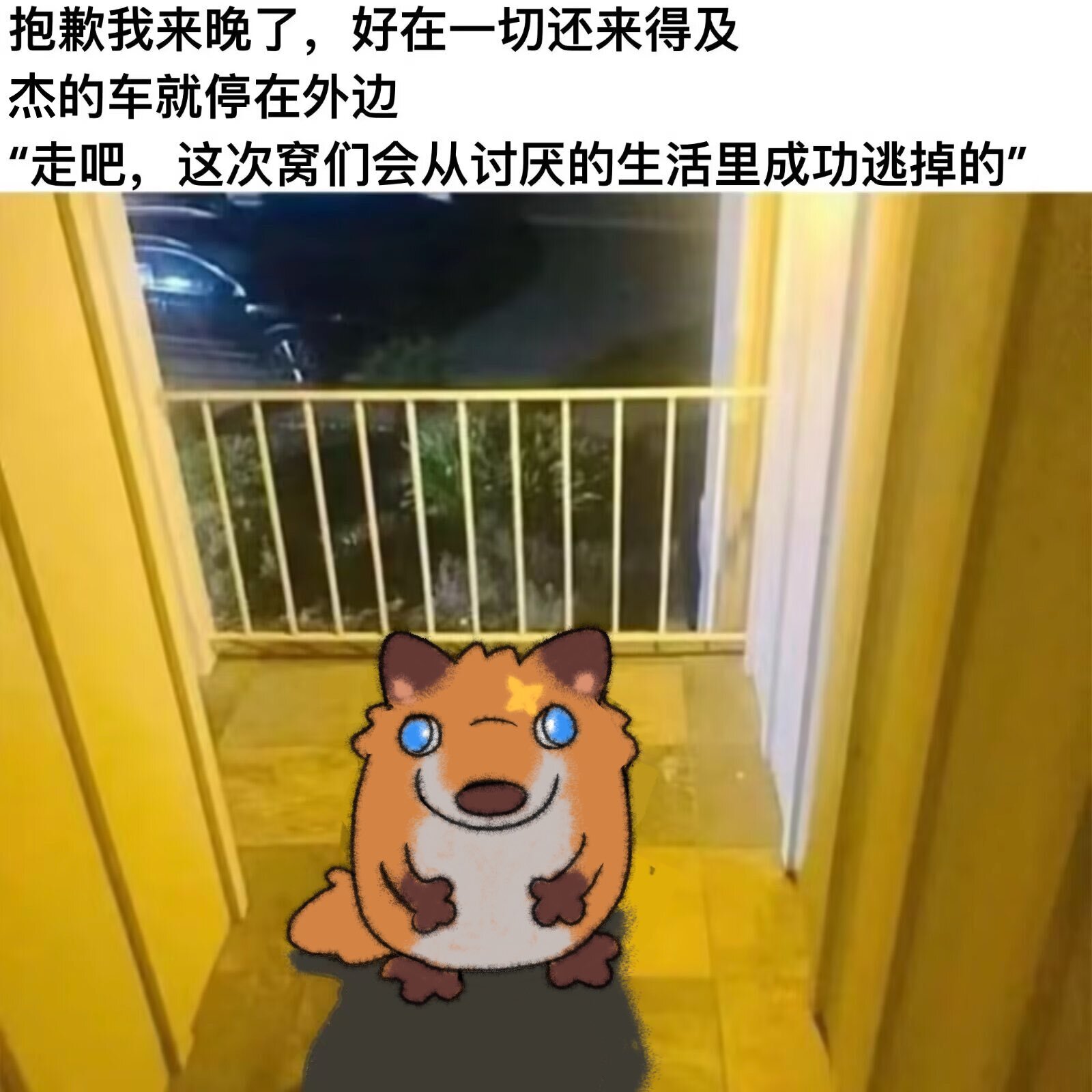 TimmyFurry