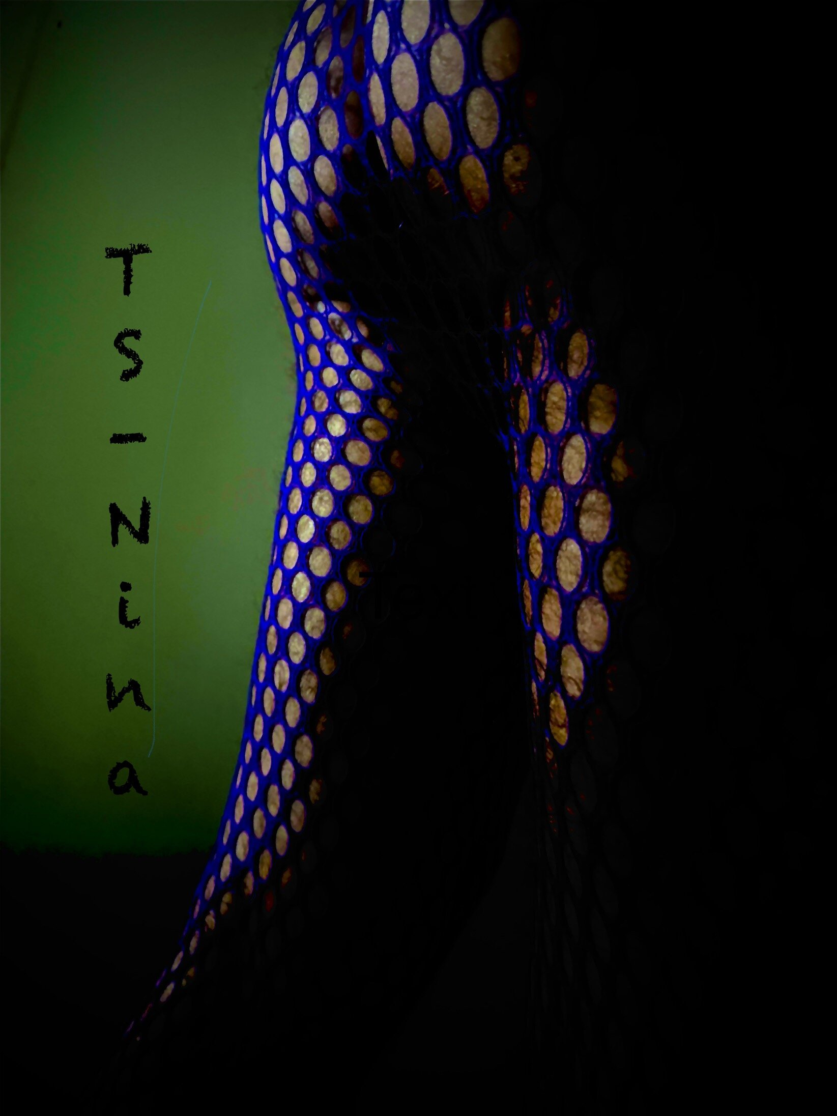TS-Nina