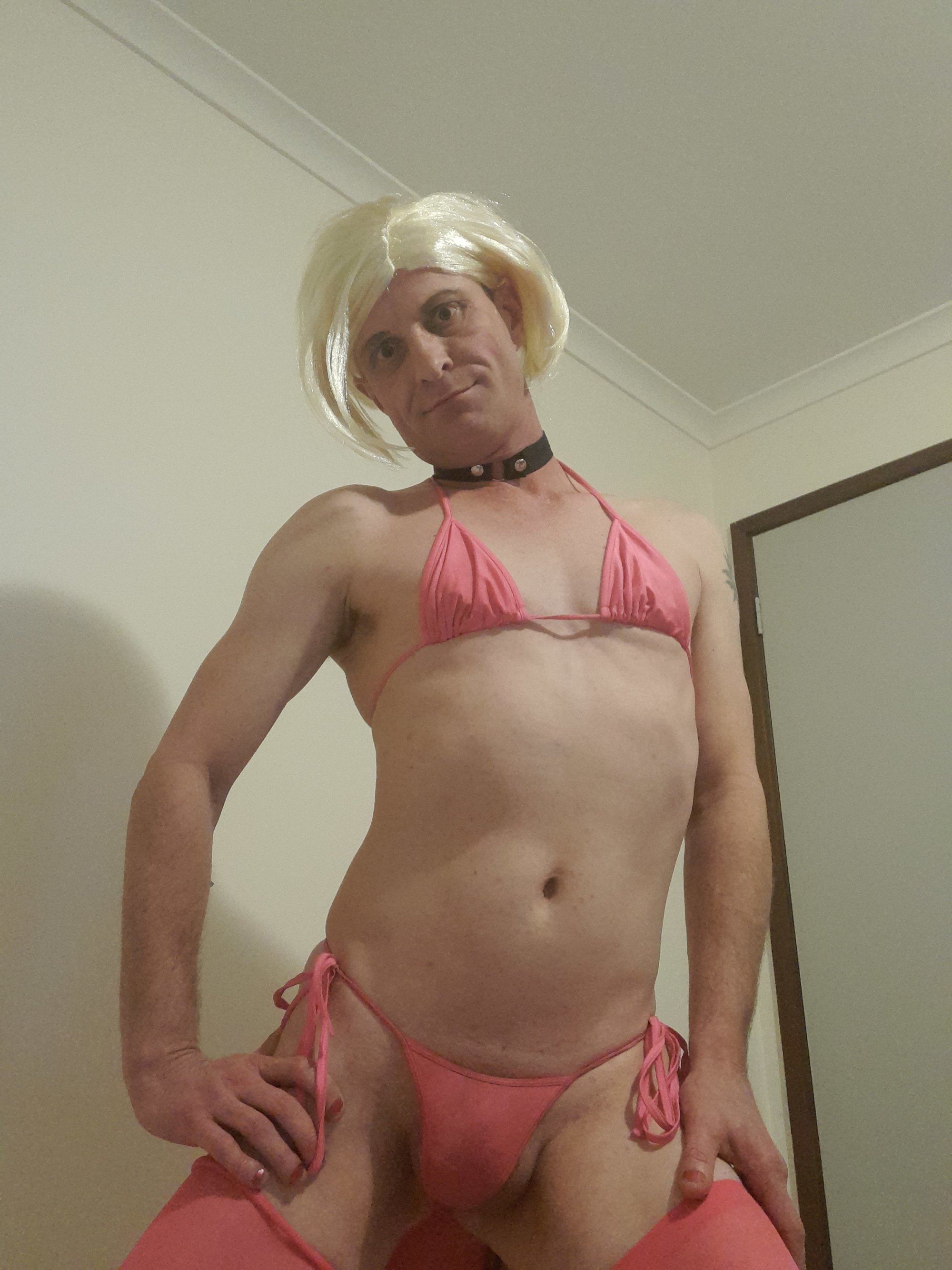 domthesissy