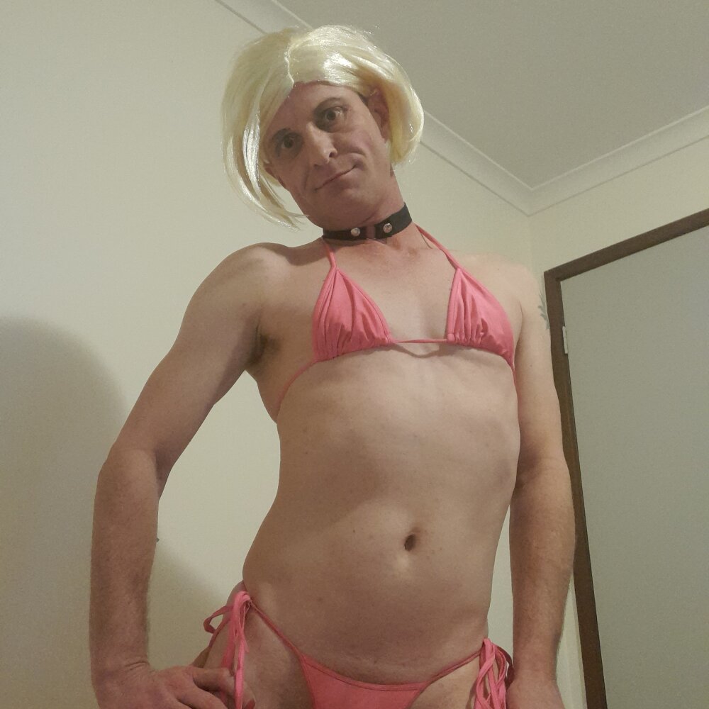 domthesissy