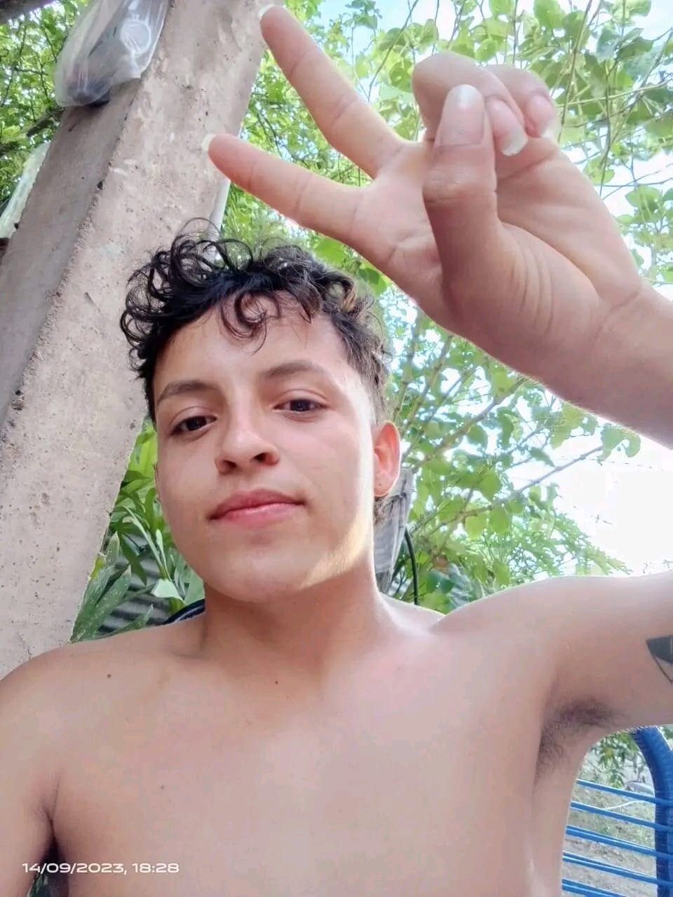 Lion_thick07