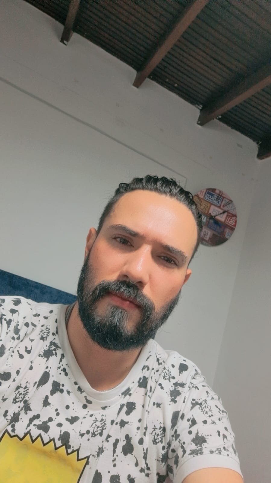 Falcon_co