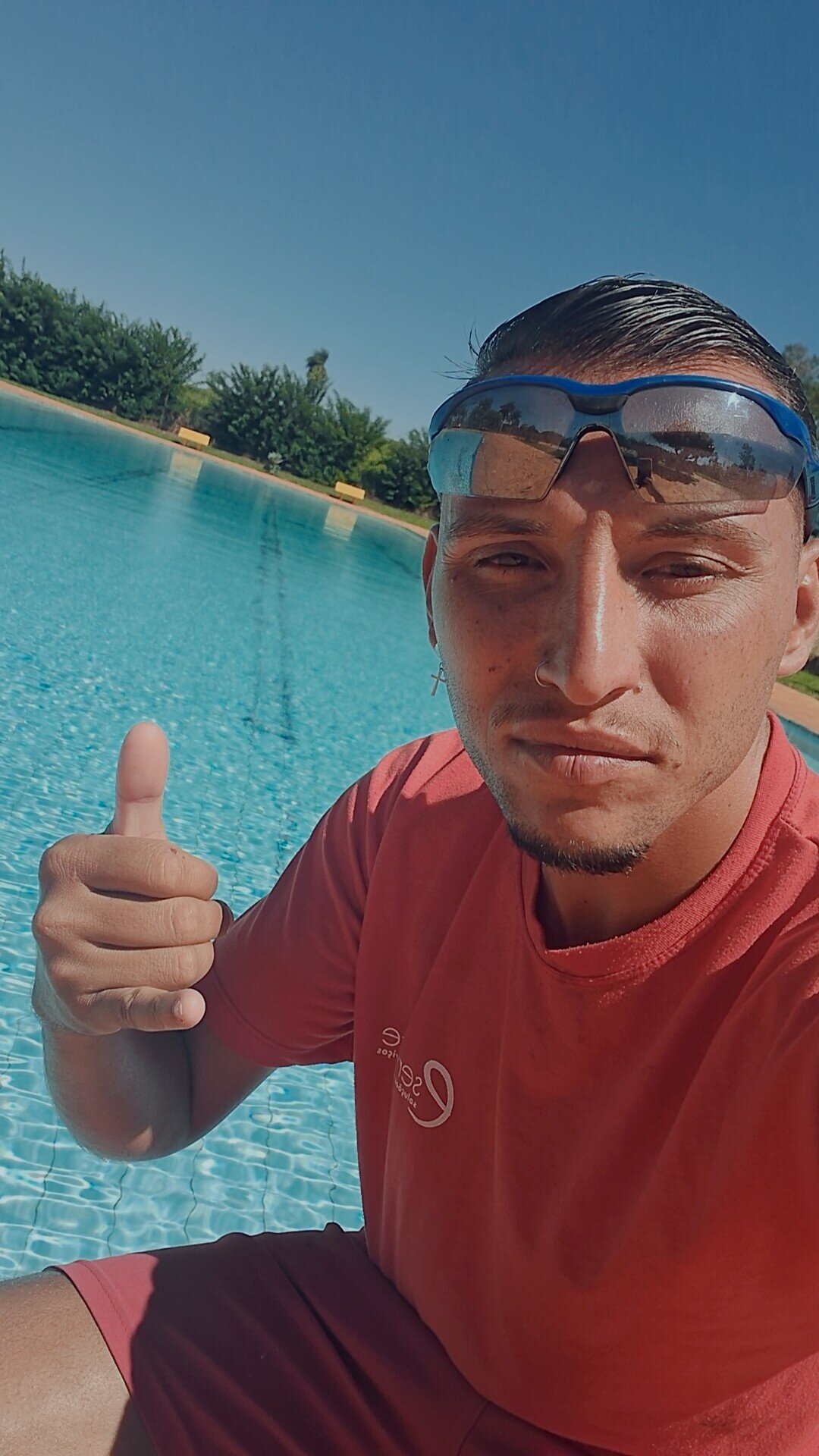 gatosoberano