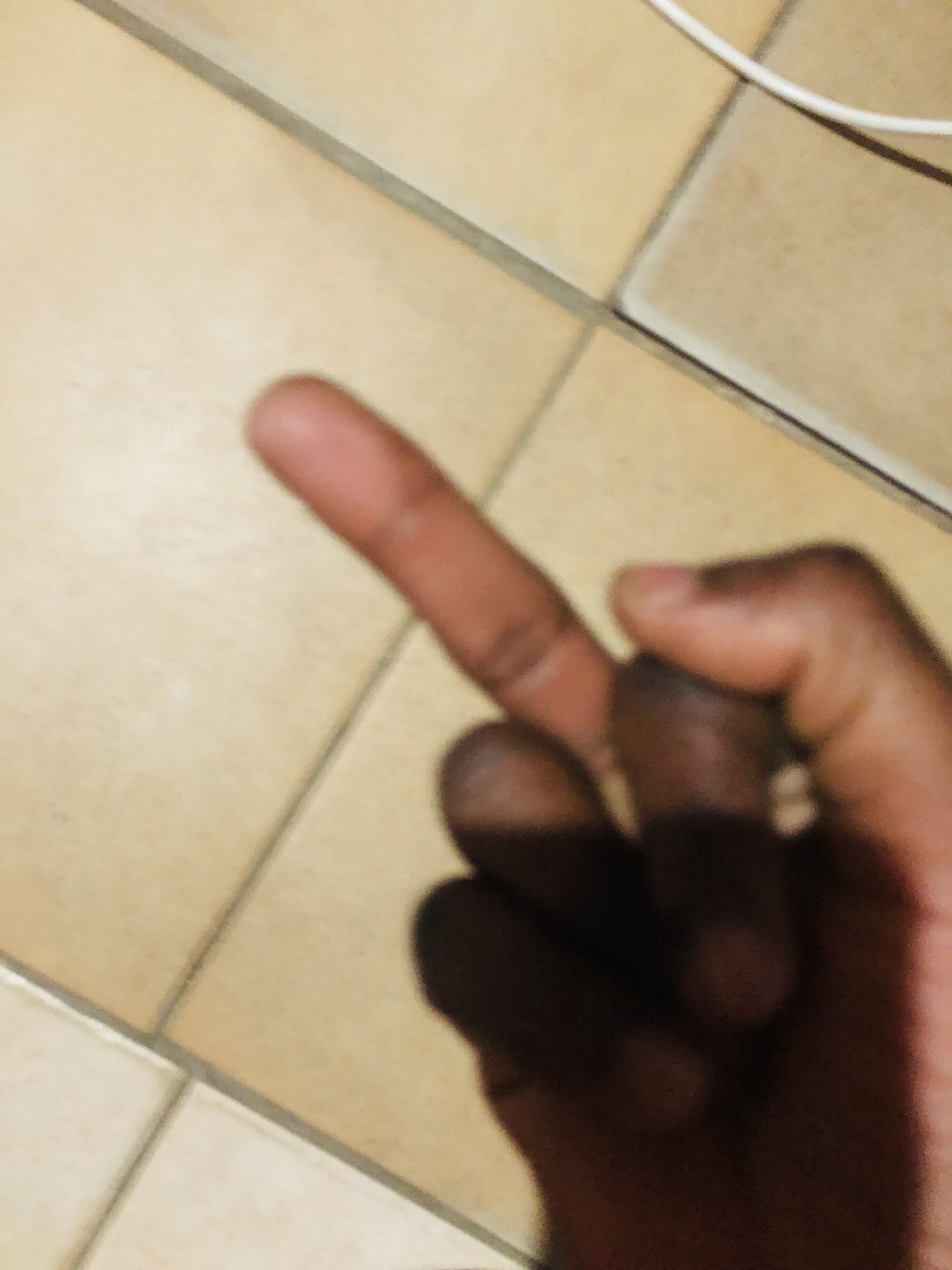 Thedickking2
