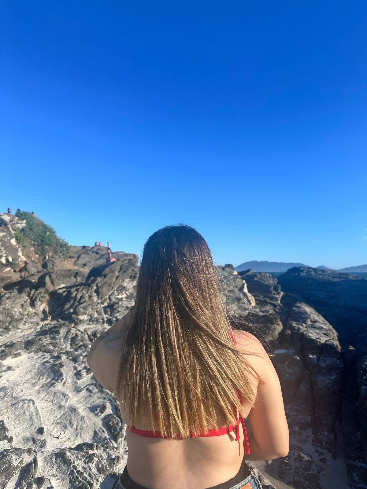 bibisapequinha