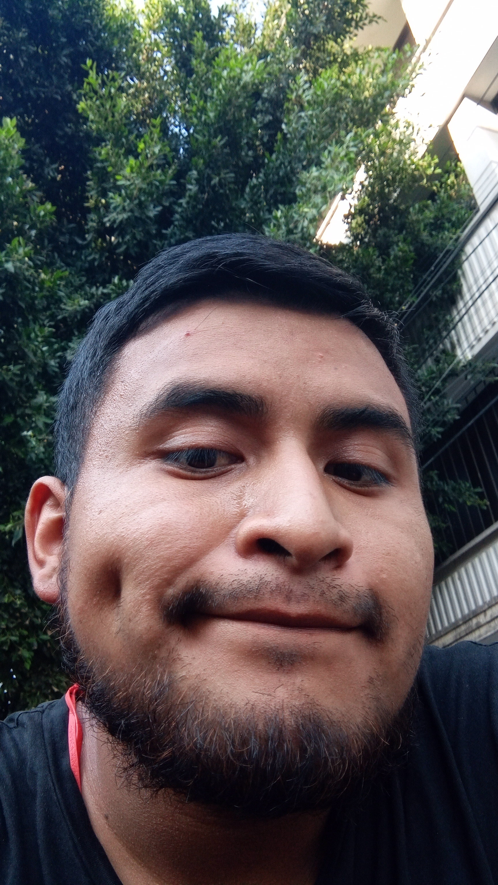 YoSoyLittleBoy