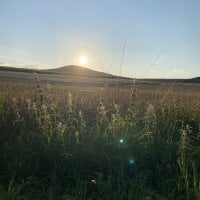 YourYoungD's webcam live show