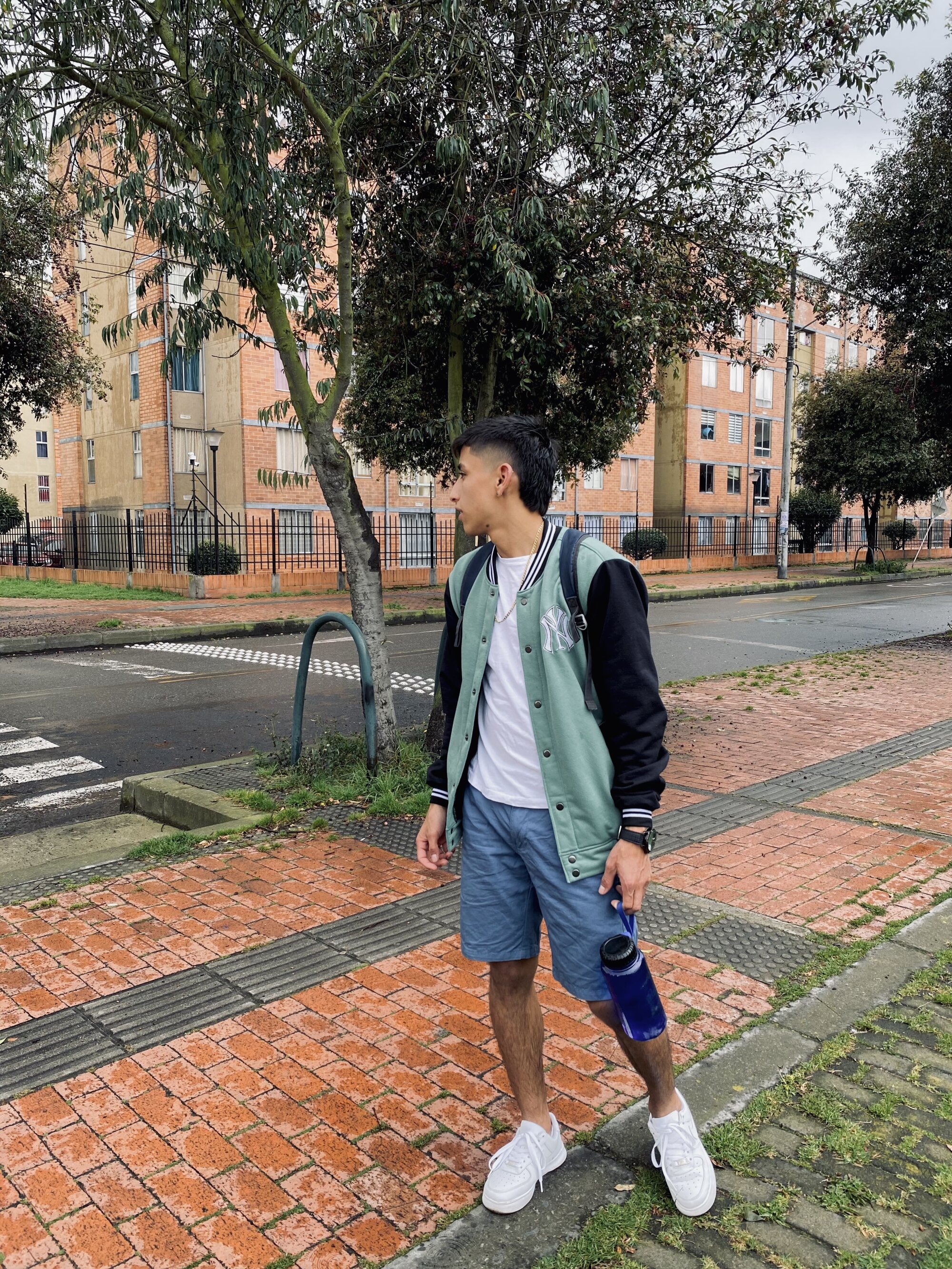 Ander_520