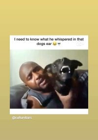 sloppypapi's webcam live show