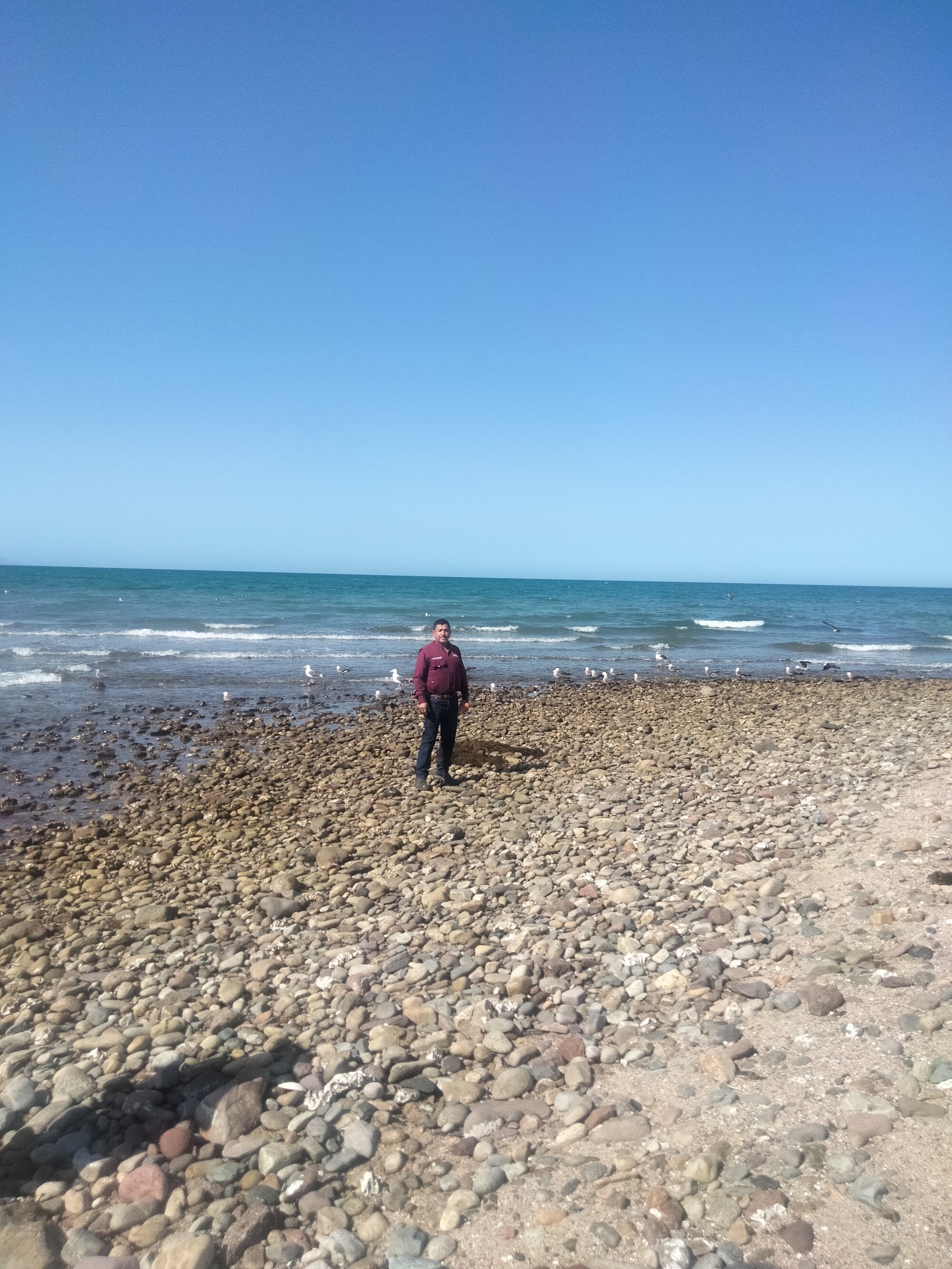 andreustoreto live webcam