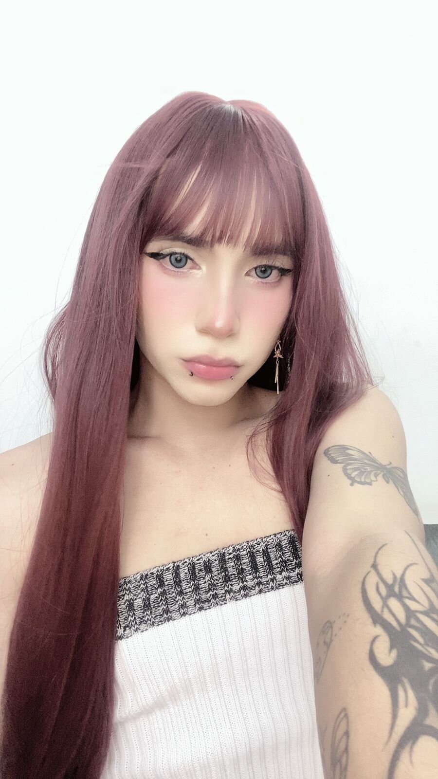 Soary_Trans