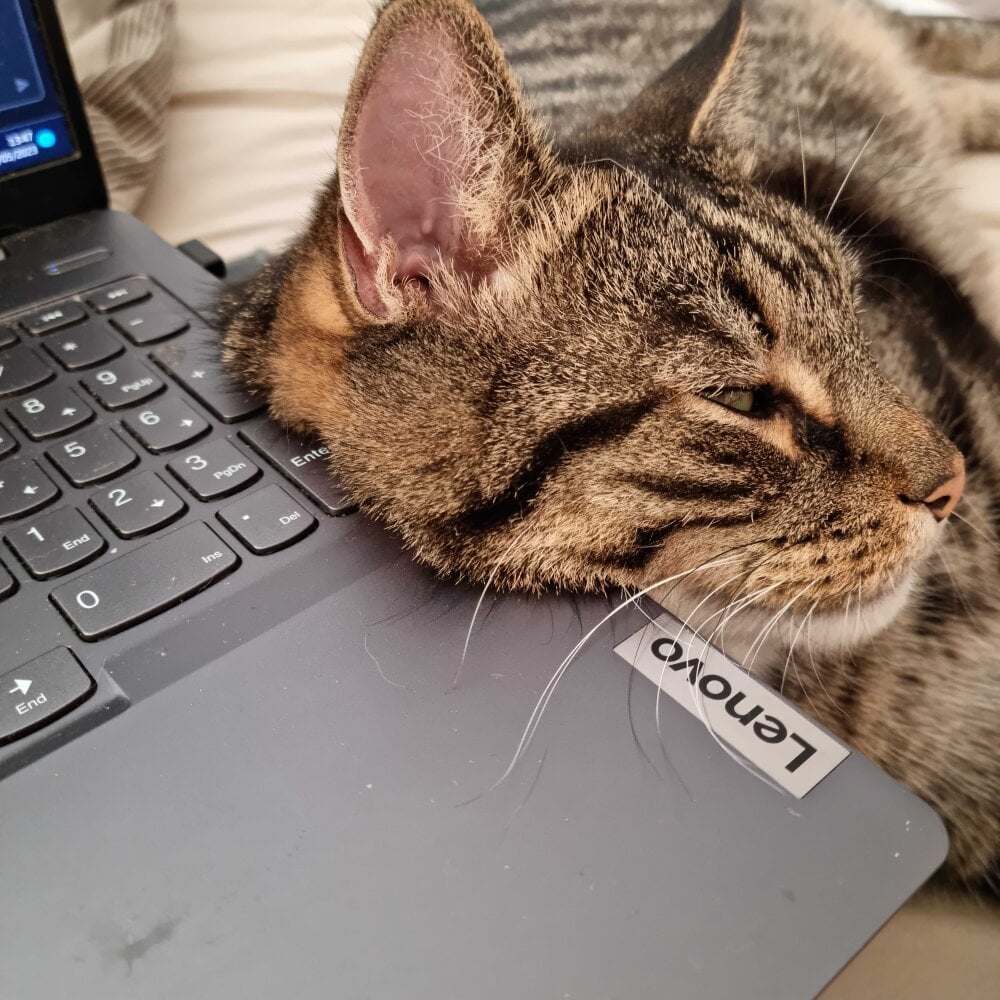 Live sex webcam photo for Smoothietest99 #289441037